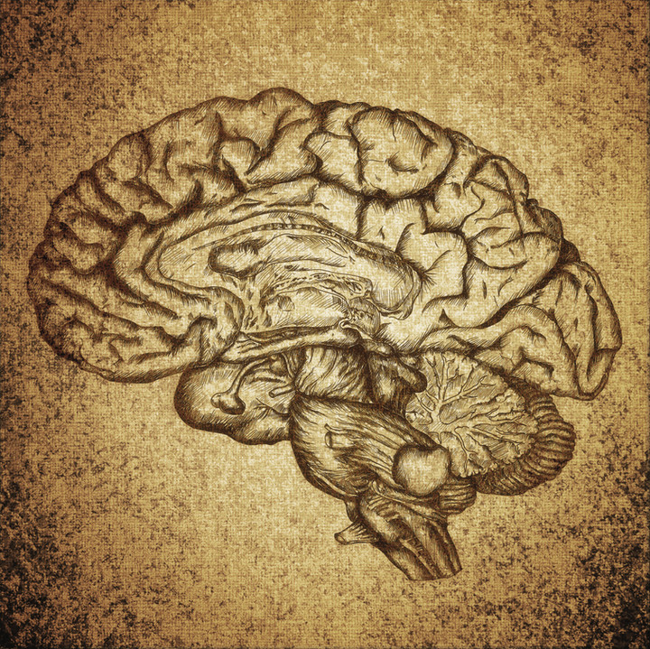 reasons to quit sugar and brain health, fog, cant concentrate, anxiety, depression and sugar, alzheimers, sugar and memory