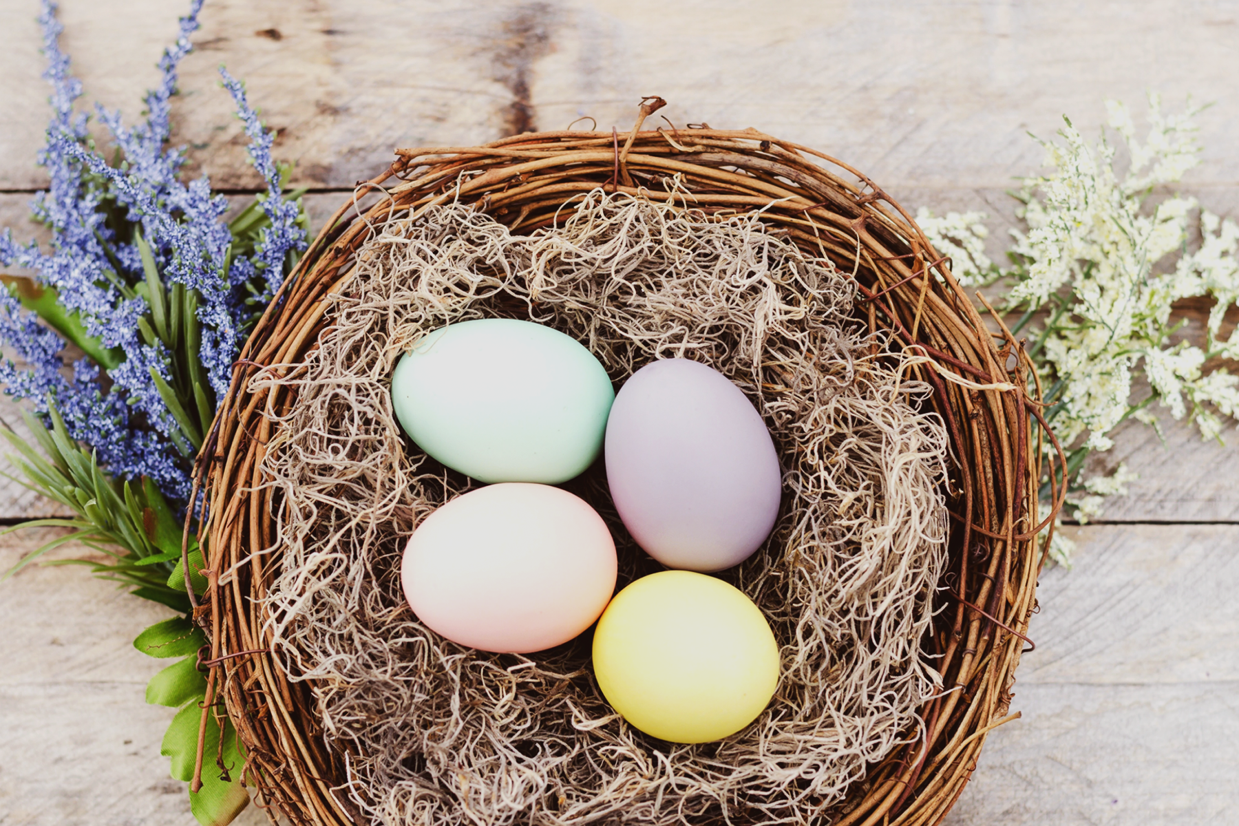 Chocolate Health Benefits, Is chocolate Good For Us, easter