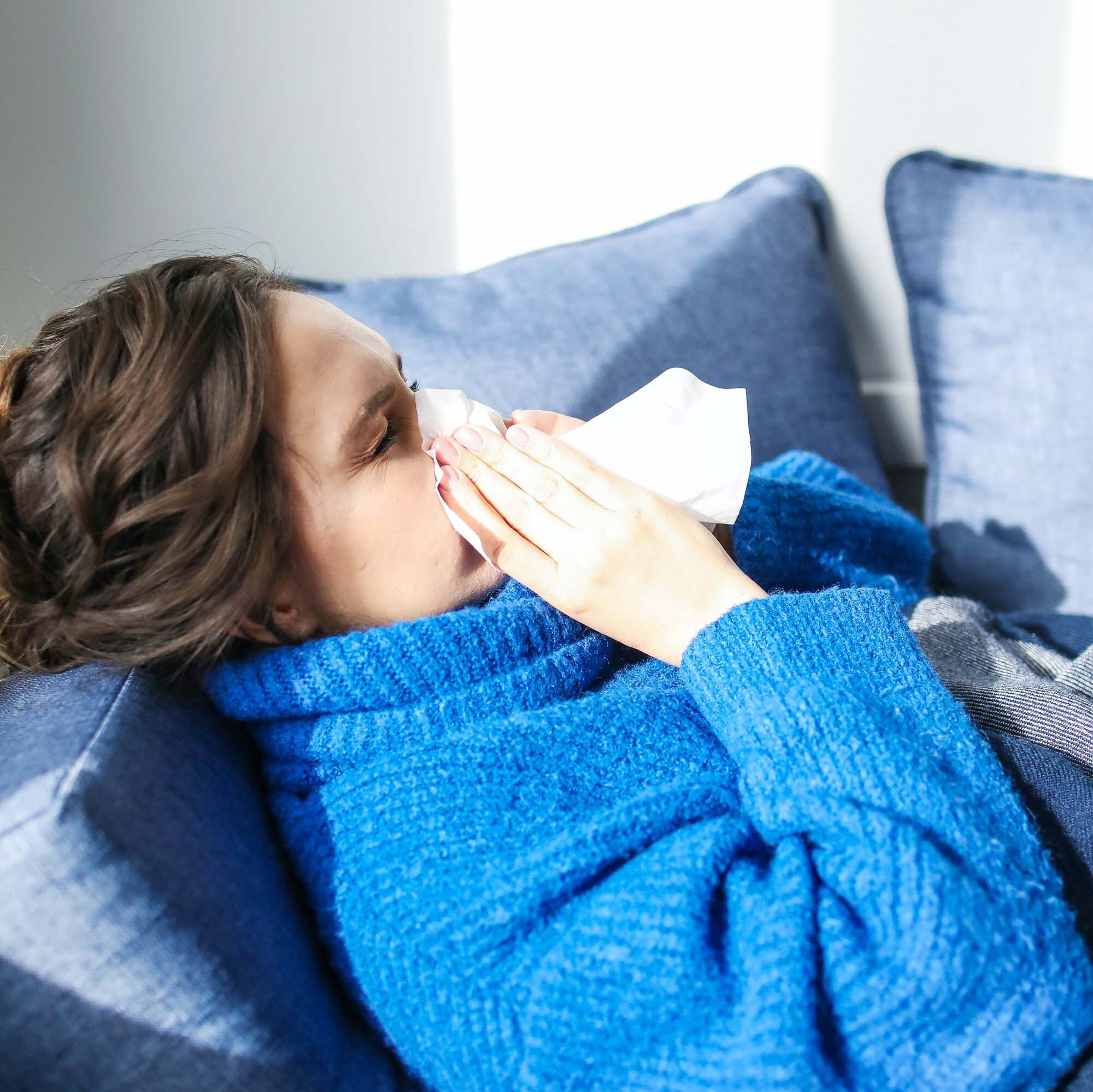 gut microbiome health and immune system